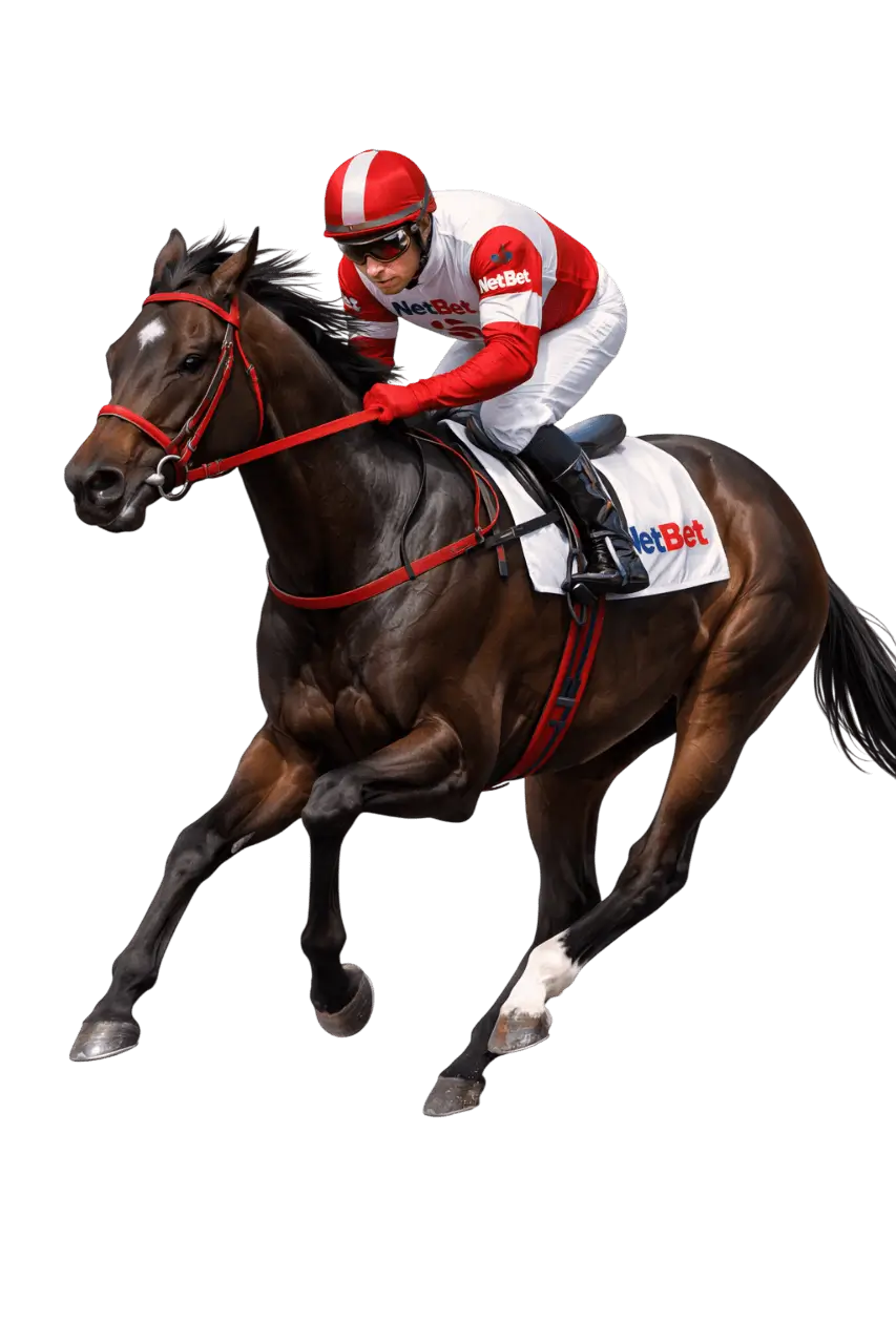 Netbet Casino banner